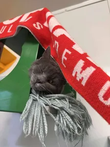 Une collecte solidaire pour la SLPA de Velaine !