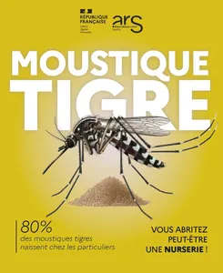 Un cas de dengue détecté à Illkirch-Graffenstaden : une opération...