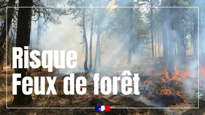 Risque incendie : le préfet de Meurthe-et-Moselle active le niveau...