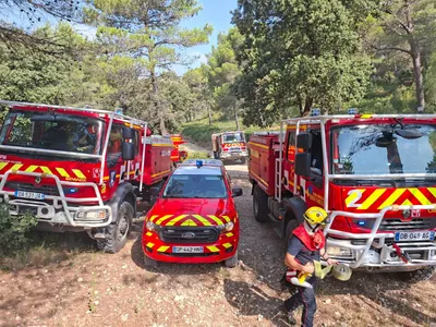 Feu de forêt au Tholy : 3 hectares de résineux détruits, le...