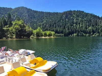 Baignade en Grand Est : des eaux de qualité, mais la prudence reste...