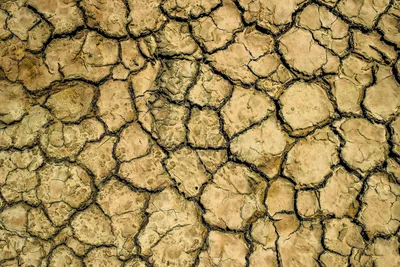 La sécheresse frappe le Grand Est : plusieurs départements passent...