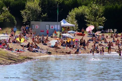 Noyades en hausse : les rivières des Vosges, un danger mortel trop...