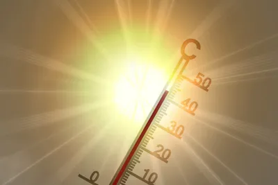Vigilance rouge canicule : les bons réflexes à adopter