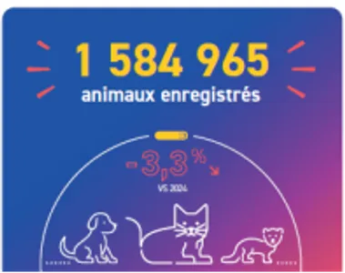 Animaux de compagnie : face aux risques de l’été, l'identification...