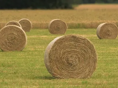 Incendie à Haréville : la FDSEA et les Jeunes Agriculteurs des...