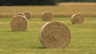 Incendie à Haréville : la FDSEA et les Jeunes Agriculteurs des...
