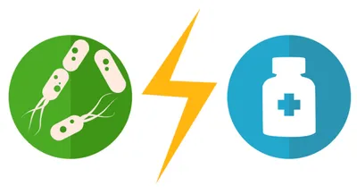 Antibiorésistance : un danger majeur pour la santé publique