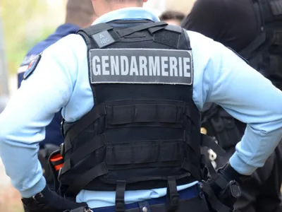 Un nouveau-né découvert en lisière d'une forêt du Haut-Rhin