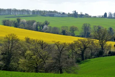 PAC 2026 : 41 millions d’euros d’avances versés aux agriculteurs...