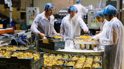 Vegafruits recrute jusqu'à 900 saisonniers pour la récolte des...