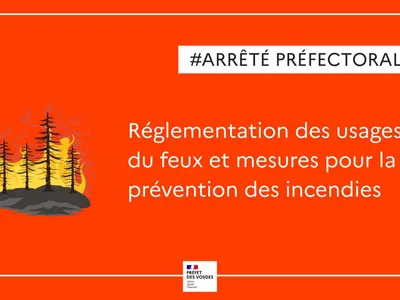 Face à la montée du risque incendie, le préfet des Vosges durcit...