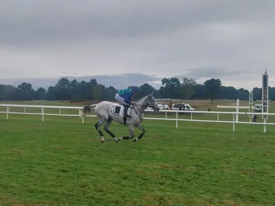 Les pronostics hippiques pour ce dimanche 22 février