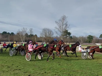 Les pronostics hippiques pour ce dimanche 8 mars