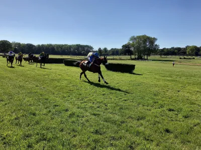 Les pronostics hippiques pour ce dimanche 28 juin