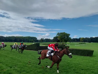 Les pronostics hippiques pour ce dimanche 7 juin