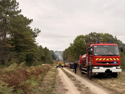 Gennes-Val-de-Loire. Un nouvel incendie dans la forêt de Milly