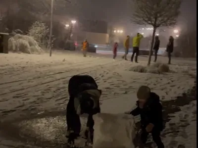 Montreuil-Juigné. La neige a fait le bonheur des habitants de ce...