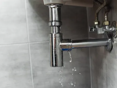 Segré : L’entreprise BLV fête ses 20 ans le 20 mars prochain