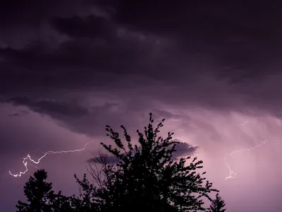 Angers. Vigilance jaune orage : des parcs et des jardins fermés