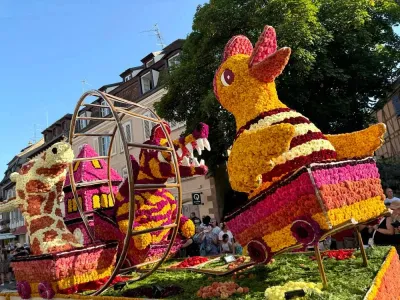 L’été à Sélestat : 50 évènements