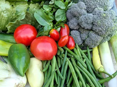 La carte des marchés hebdomadaires en Alsace