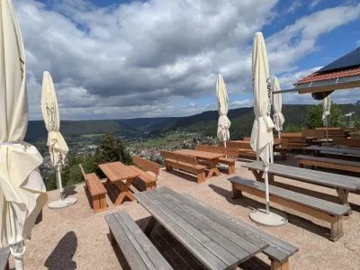 En Forêt-Noire : découvrez les chalets-auberges