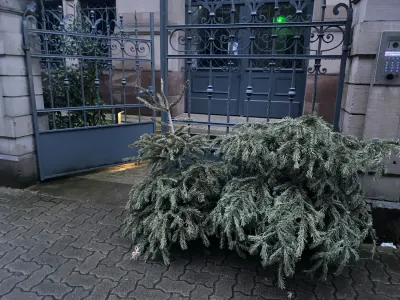 Où et quand jeter son sapin de Noël en Alsace ?