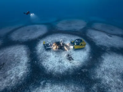 Méditerranée : l’alerte en profondeur de Laurent Ballesta