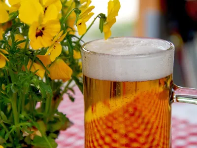 Montpellier, Béziers, Perpignan… La bière est en fête au mois de...