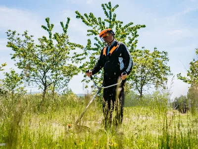 Protégez votre propriété en débroussaillant