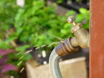 Pyrénées-Orientales : des chiens pour détecter les fuites d'eau