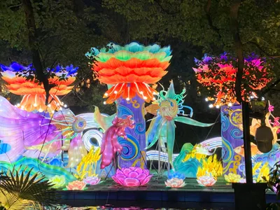 L’événement dans les Pyrénées-Orientales : Un festival des...