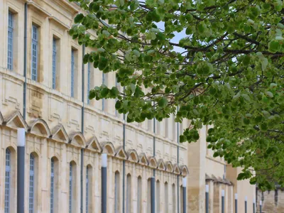 Réussite en Licence : le sud à la peine dans le classement 2026