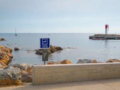 Plages autorisées aux chiens : où se baigner avec son toutou autour...