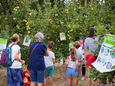 Près de Montpellier : la coopérative Cofruid'Oc ouvre ses portes...
