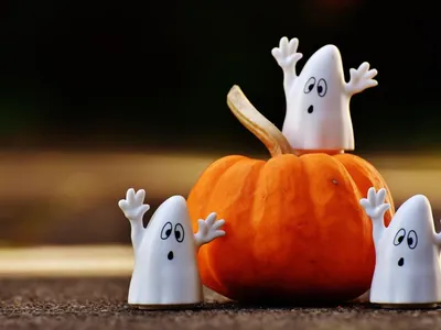 Pyrénées-Orientales : 5 idées de sorties en famille pour fêter...