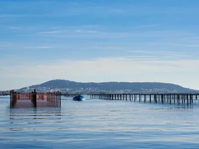 Hérault : des mesures d’urgence suite à l’interdiction à la vente...