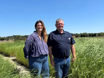 En Petite Camargue dans le Gard, l’eau se soigne par le végétal