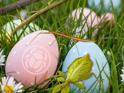 Aveyron : pendant les vacances, à Micropolis, on cherche les...