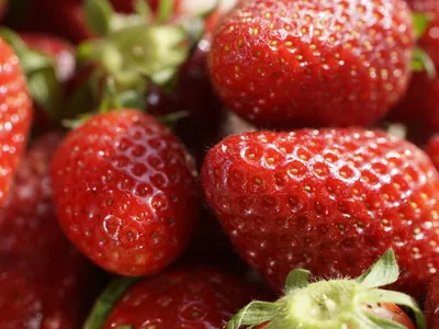 Raz-de-marée sur la fraise française : pourquoi les prix chutent en...