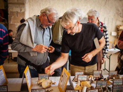 Cévennes : Au Vigan, un premier week-end sous le signe des...
