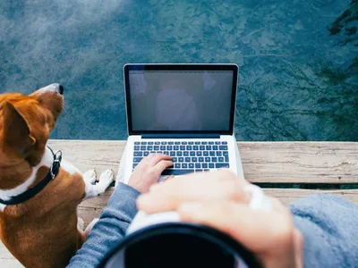 Montpellier : Liv’Vet, une app pour nous éviter le stress des...