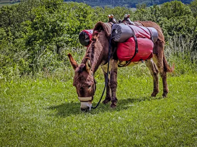 Golfe du Lion : et si vous lâchiez tout pour une rando... avec un...