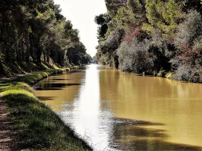 Canal du Midi : une association invite les communes riveraines à...