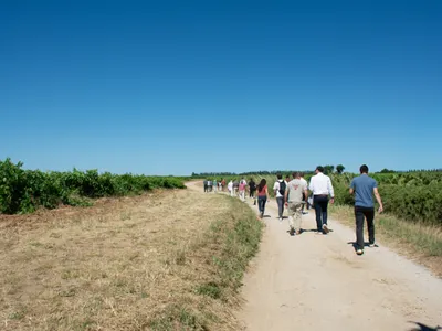 Gard : une première Œnorando lancée à Gallician pour mêler marche...