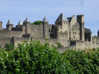 Aude : quel est le top 20 des noms de famille les plus portés ?