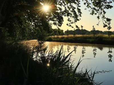 Occitanie : deux coups de pouce de 100 000 € pour sauver les arbres...