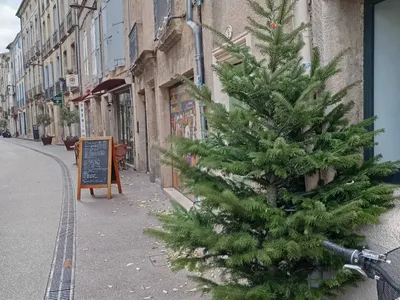 À Pézenas, neuf sapins participatifs et un Nadal 2025 plus féérique...