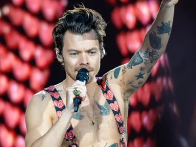 Harry Styles au Guiness Book des records